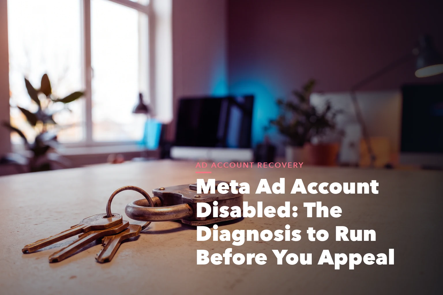 Business guide visual with process steps and compliance records for Meta Account Disabled The Diagnosis Run